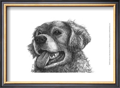 Amber The Golden Retriever by Beth Thomas Pricing Limited Edition Print image