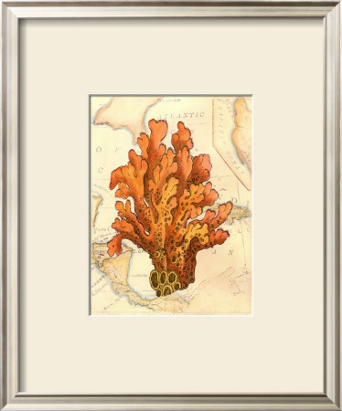 Exotic Map With Coral Iv by Deborah Bookman Pricing Limited Edition Print image