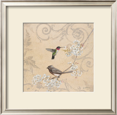 Hummingbird And Cherry by Jill Schultz Mcgannon Pricing Limited Edition Print image