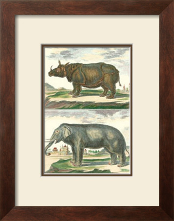 Elephant And Rhino Pair by Daniel Diderot Pricing Limited Edition Print image