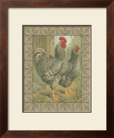 Roosters Ii by Cassell's Poultry Book Pricing Limited Edition Print image