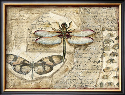 Poetic Dragonfly I by Chariklia Zarris Pricing Limited Edition Print image