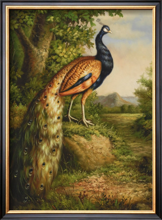 Classic Peacock by Cheri Blum Pricing Limited Edition Print image