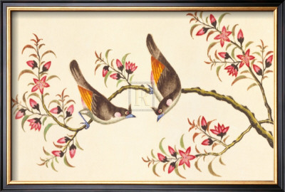 Birds And Flowers On Branch by Anonymous Pricing Limited Edition Print image