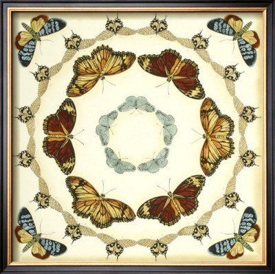 Butterfly Collector Ii by Chariklia Zarris Pricing Limited Edition Print image