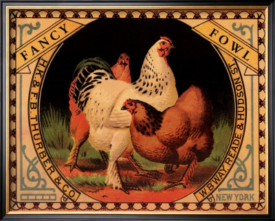 Fancy Fowl by Miles Graff Pricing Limited Edition Print image