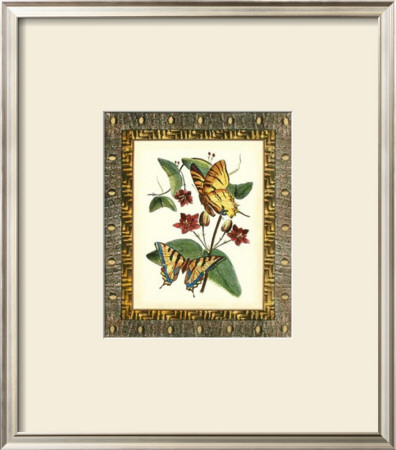 Leather Framed Butterflies I by Deborah Bookman Pricing Limited Edition Print image