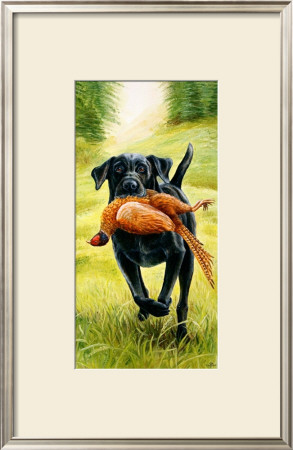 Black Labrador At Work by Dmitry Guskov Pricing Limited Edition Print image