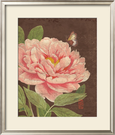 Garden Peony I by Katie Pertiet Pricing Limited Edition Print image