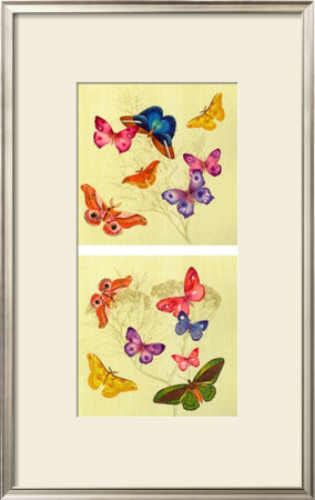 Butterflies Are Free by Sarah Elizabeth Chilton Pricing Limited Edition Print image