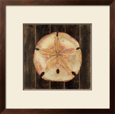 Ocean Sand Dollar by Arnie Fisk Pricing Limited Edition Print image