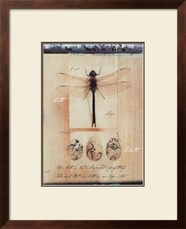 Dragon Fly by Julie Nightingale Pricing Limited Edition Print image
