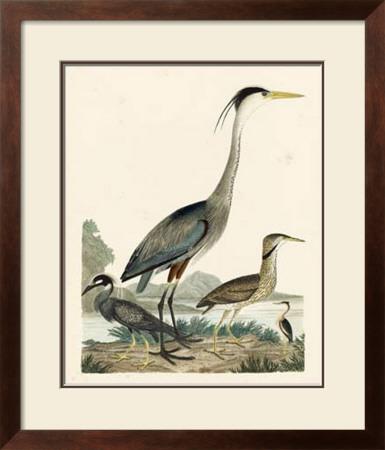 Heron Family I by A. Wilson Pricing Limited Edition Print image
