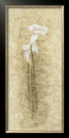 Calla Lilies by B. J. Zhang Pricing Limited Edition Print image