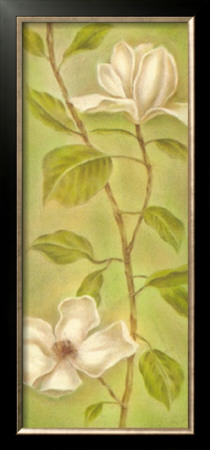 Magnolias Ii by Lewman Zaid Pricing Limited Edition Print image