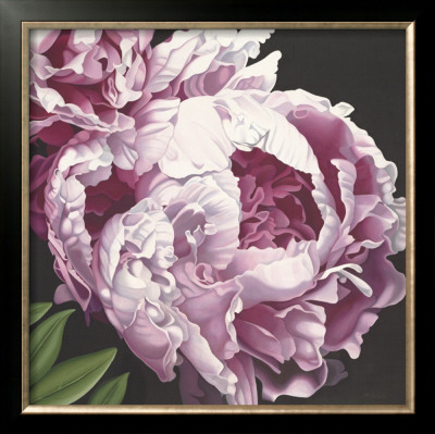 Peony Ii by Elizabeth Hellman Pricing Limited Edition Print image