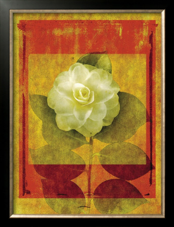 Camelia by Doug Landreth Pricing Limited Edition Print image
