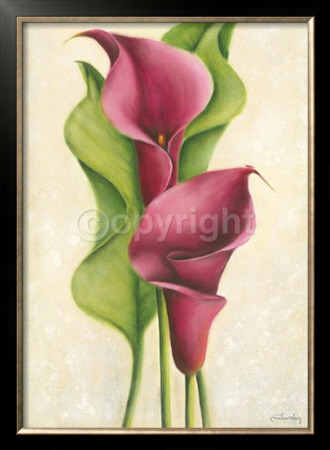 Dancing Callas by Caroline Wenig Pricing Limited Edition Print image