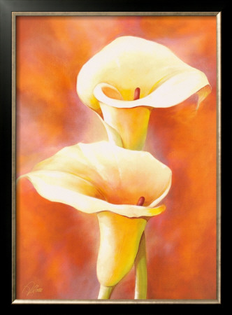 Two Callas In Light by Alicia Sloan Pricing Limited Edition Print image
