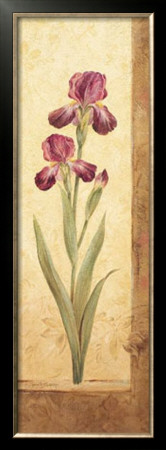 Grandiflora Ii by Pamela Gladding Pricing Limited Edition Print image