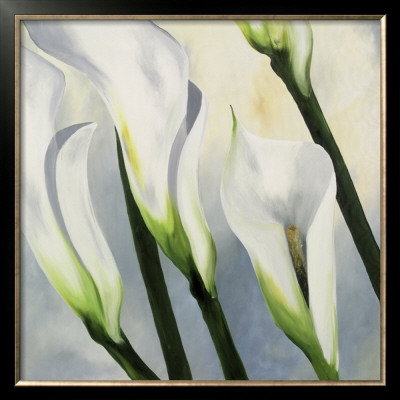 Calla Lily I by Maik Siolek Pricing Limited Edition Print image