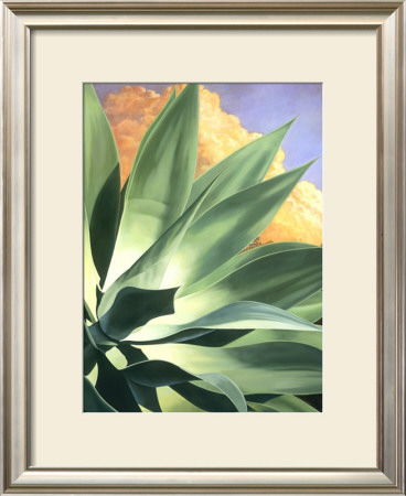 Agave Dreamscape by Rick Garcia Pricing Limited Edition Print image
