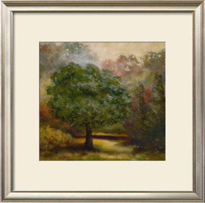 Tree Cast Ii by Scott Lee Pricing Limited Edition Print image