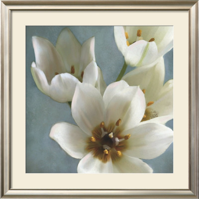Lily Parfait Ii by Janel Pahl Pricing Limited Edition Print image