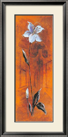 Scenic Flowers Ii by M. Patrizia Pricing Limited Edition Print image