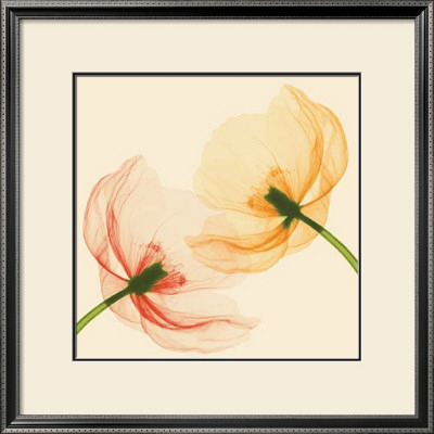 Lightness I by Val Andre Pricing Limited Edition Print image