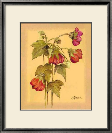 Flores Colgantes Iv by L. Romero Pricing Limited Edition Print image