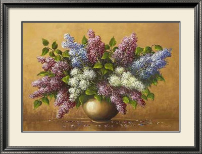 Syringa by Helmut Glassl Pricing Limited Edition Print image