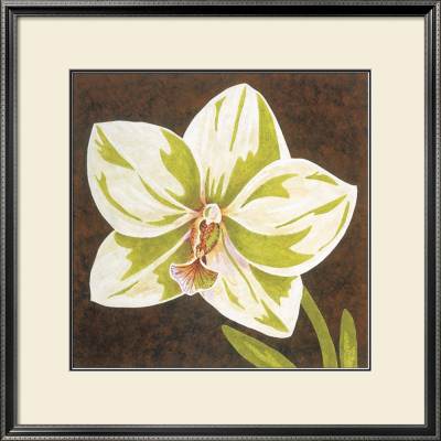 Surabaya Orchid Ii by Judy Shelby Pricing Limited Edition Print image