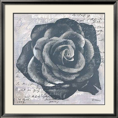 Grey Rose by Anna Flores Pricing Limited Edition Print image