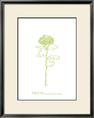 Chrysanthemum Ii by Filippo Ioco Pricing Limited Edition Print image