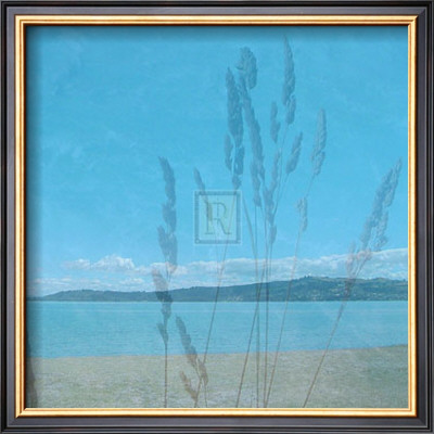 Secret Cove I by Suzie Pibworth Pricing Limited Edition Print image