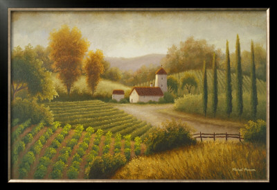 Vineyard In The Sun Ii by Michael Marcon Pricing Limited Edition Print image