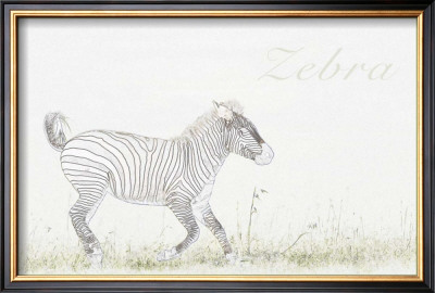 Simply Zebra by Susann & Frank Parker Pricing Limited Edition Print image