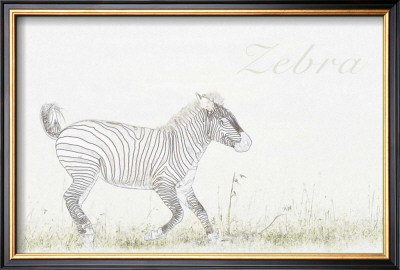 Simply Zebra by Susann & Frank Parker Pricing Limited Edition Print image