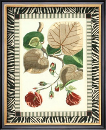 Zebra Bordered Botanical Iii by Poiret Pricing Limited Edition Print image