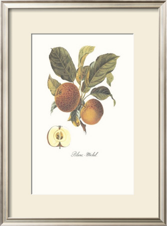 Apple, Blanc-Michel by Francois Langlois Pricing Limited Edition Print image