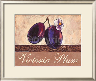 Victoria Plum by Steff Green Pricing Limited Edition Print image