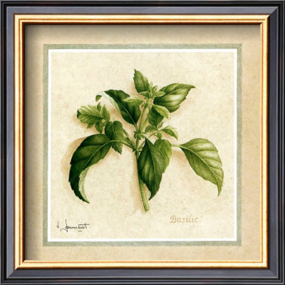 Herbes Iii by Vincent Jeannerot Pricing Limited Edition Print image