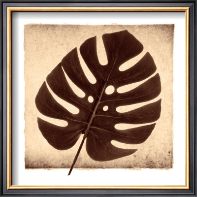 Monstera I by Michael Mandolfo Pricing Limited Edition Print image