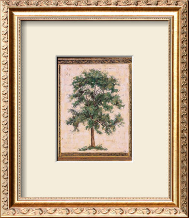 Old World Tree Ii by Jennifer Goldberger Pricing Limited Edition Print image