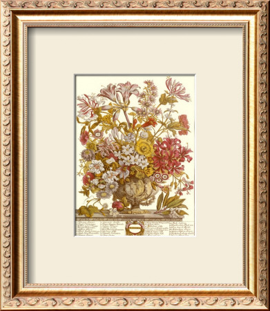 Twelve Months Of Flowers, 1730, October by Robert Furber Pricing Limited Edition Print image