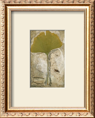 Kyoto Leaves Ii by Kate Archie Pricing Limited Edition Print image