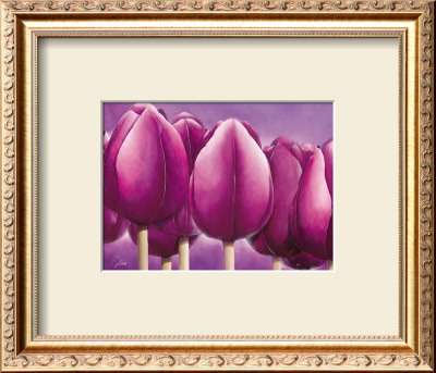 Sleeping Tulips I by Alicia Sloan Pricing Limited Edition Print image