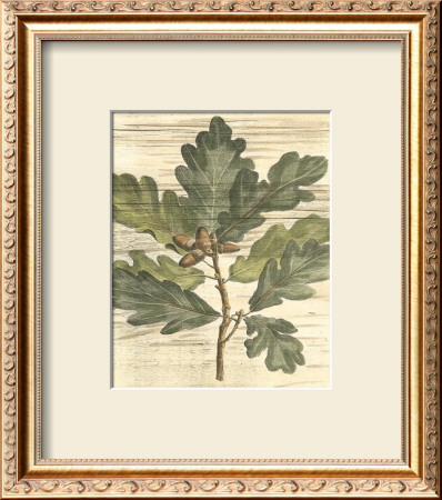 Weathered Oak Leaves I by Gerard Paul Deshayes Pricing Limited Edition Print image