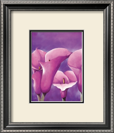 Passion In Pink by Alicia Sloan Pricing Limited Edition Print image